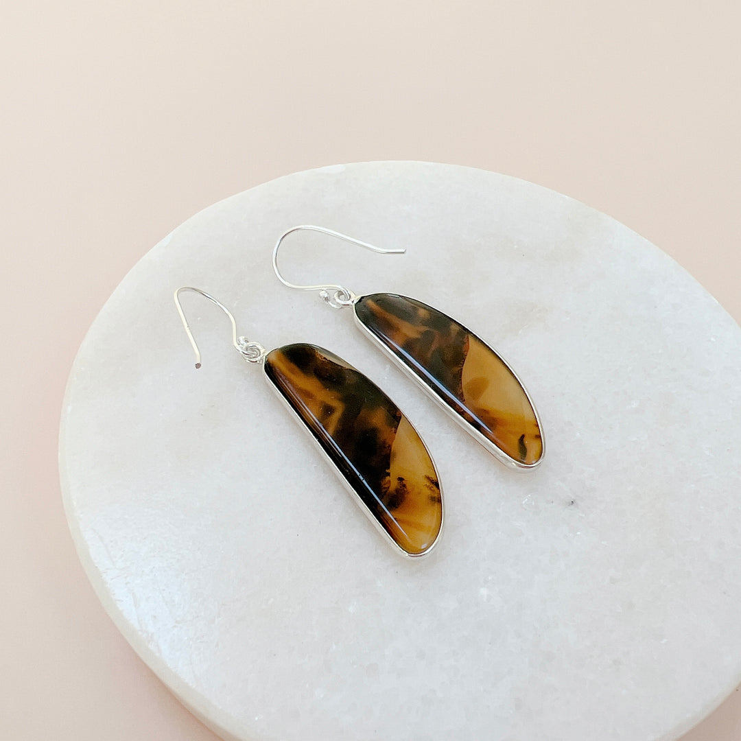 Montana agate from the Yellowstone River Earrings