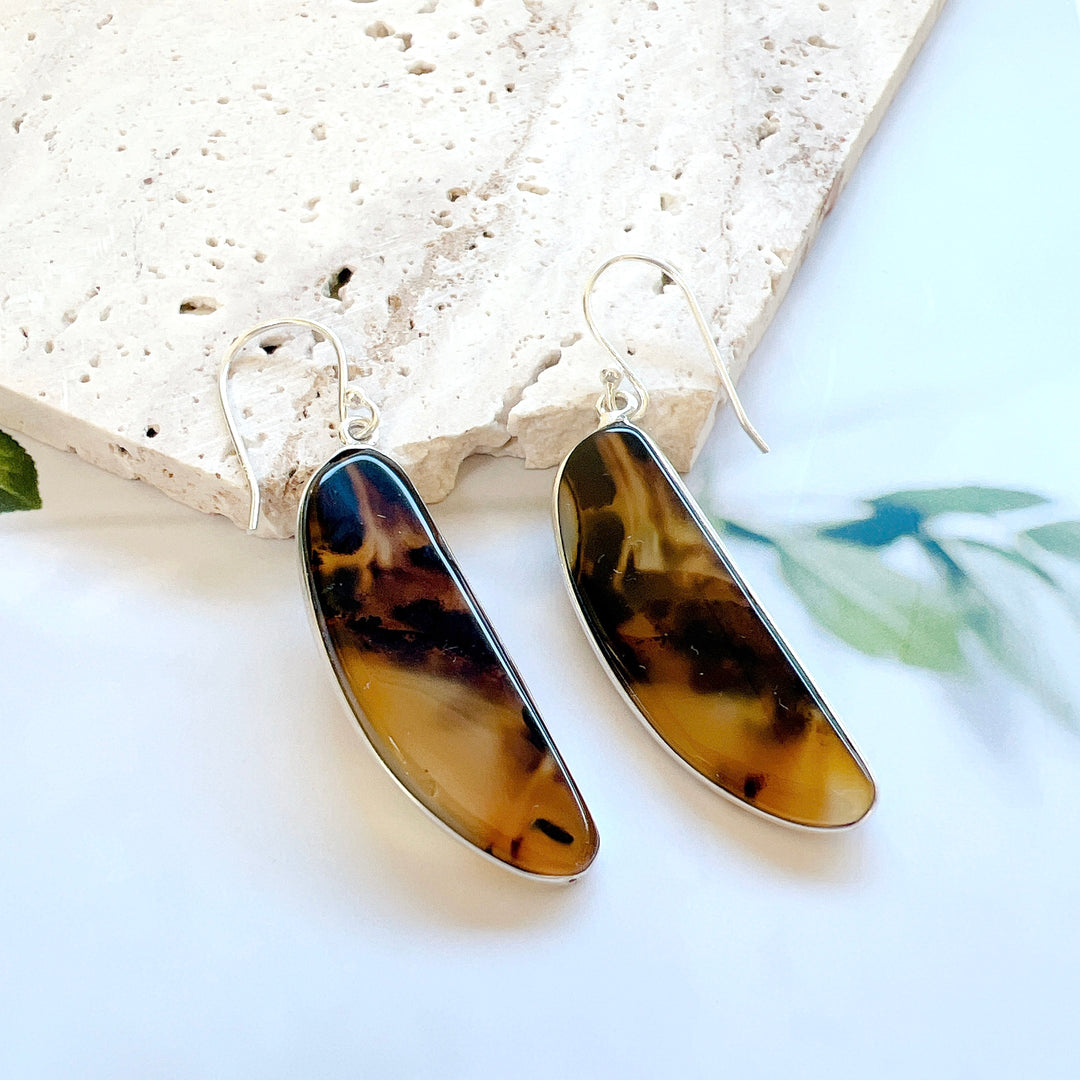 Montana agate from the Yellowstone River Earrings