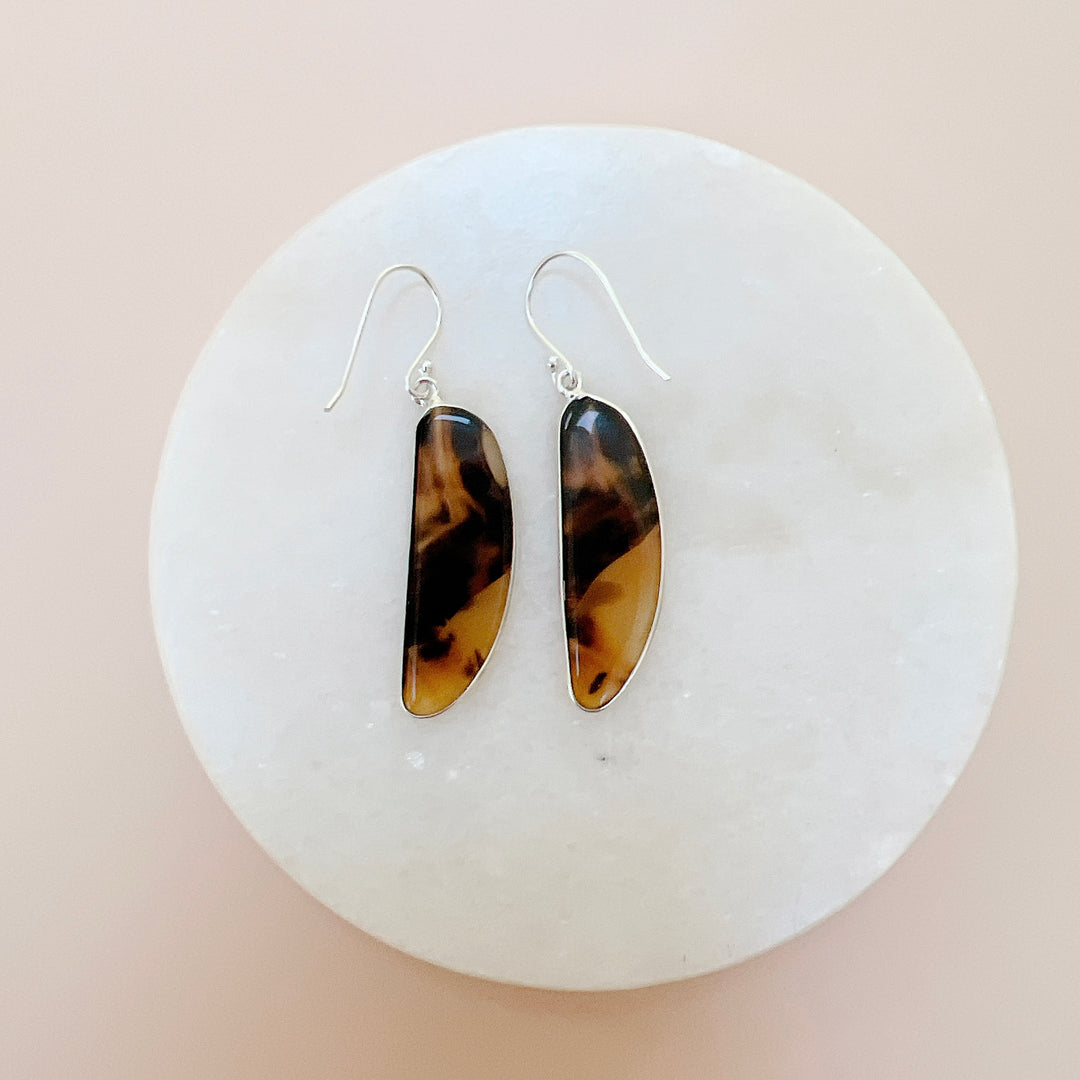 Montana agate from the Yellowstone River Earrings
